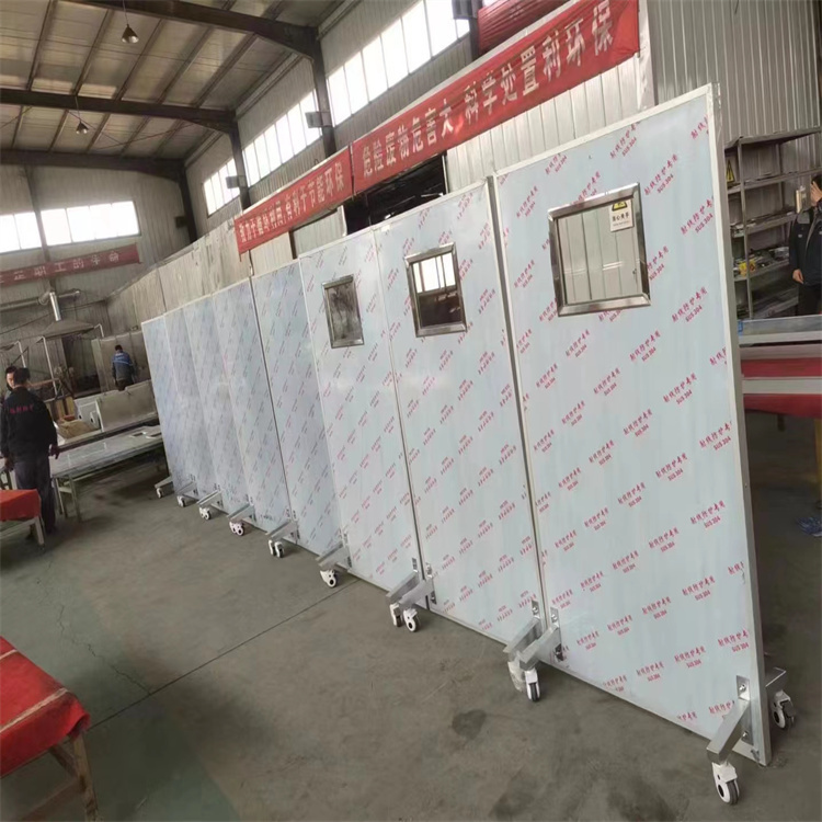 滨海射线防护铅门颜色